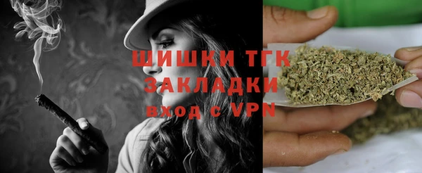 хмурый Зеленокумск
