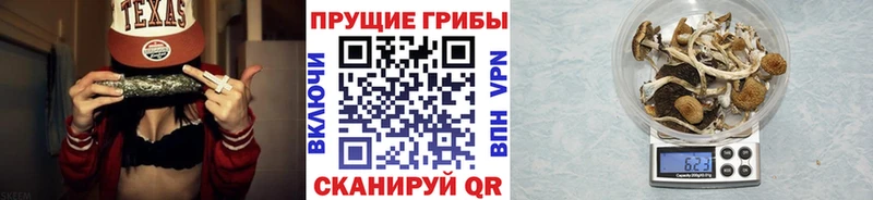 Псилоцибиновые грибы GOLDEN TEACHER  Купить где  Плавск 